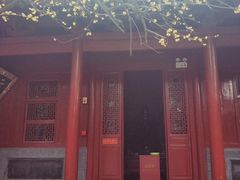 -洛阳白马寺