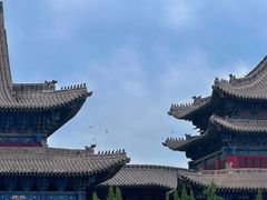 -大槐树寻根祭祖园