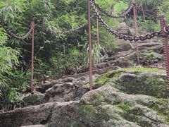 -王顺山国家森林公园