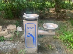 -大兴滨河森林公园