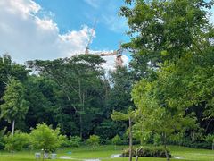 -深圳国际园林花卉博览园