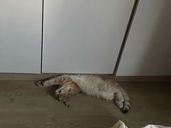 -美联众合24小时·皮肤科·外科·全科诊疗中心(华苑分院)
