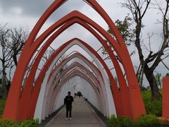 -白鹭湾湿地公园