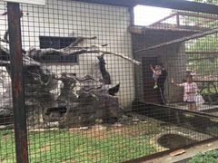 -南昌动物园