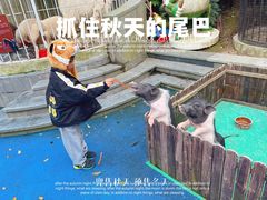 -上海崇明金茂凯悦酒店