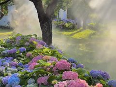 -名花谷生态庄园