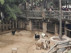 -长鹿旅游休博园
