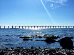 -星海湾跨海大桥