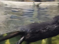 -左海海底世界