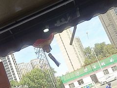 -老码头黑皮肘子锅包肉(文政街店)
