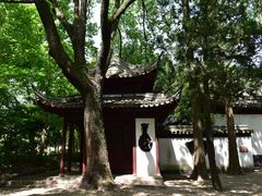 -汇龙潭