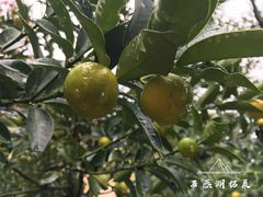 -石燕湖生态旅游景区