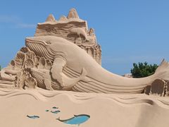-日照海滨国家森林公园