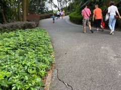 -广州市帽峰山景区