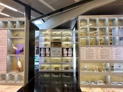 -下渚湖国家湿地公园科普馆