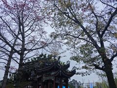 -西湖公园(鼓楼区)