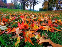 -北京京辉高尔夫俱乐部有限公司