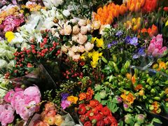 -双季花艺园艺市场(浦东店)