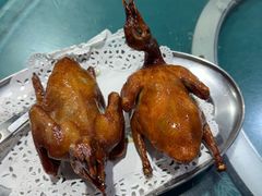 -石岐乳鸽村(南海第三分店)