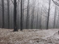 -山王坪喀斯特国家生态公园