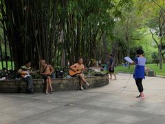 -晓港公园