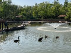 -溱湖国家湿地公园