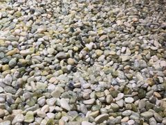 -星河湾温泉洗浴酒店