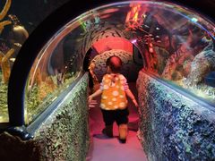 -沈阳海洋探索中心