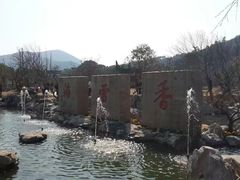 -香雪海