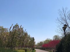 -永定河休闲森林公园