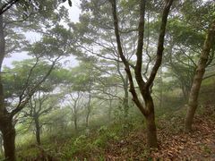 -凤凰山