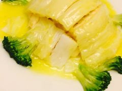 -丁老爷子苏香圆