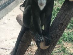 -石家庄市动物园