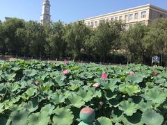 -吉林大学(南岭校区)