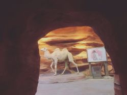 -酷嗒动物文化乐园(cutezoo西溪乐天城店)