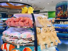 -上海海洋水族馆