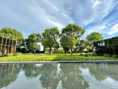 -养云安缦吧THE BAR