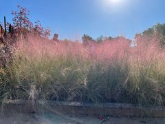 -北京十三陵国家森林公园蟒山景区