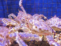 水产区-珍宝轩海鲜火锅(碧湖大厦店)