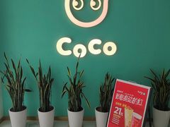-CoCo都可(台东和兴店)
