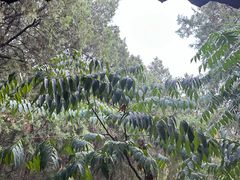-云龙山