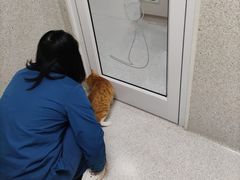 -谐和贝康宠物医院24小时·宠保定点(急重症转诊中心)