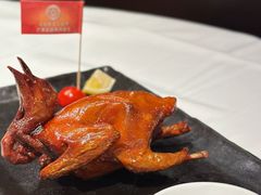 -侨美食家·40年地道粤菜(珠江新城店)