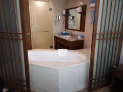 -天明山温泉大酒店