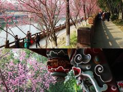 -望江楼公园