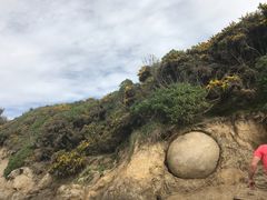 -摩拉基大圆石