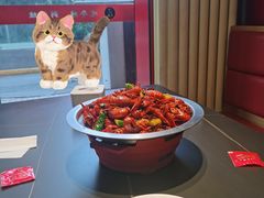 -美蛙四季(亦庄店)