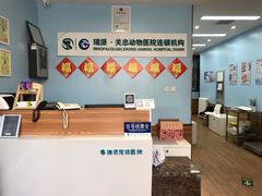 -瑞派·关忠动物医院·异宠专科·犬猫肿瘤·皮肤专科(望京店)