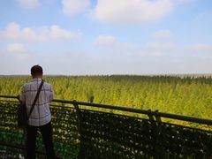 -黄海国家森林公园