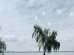 -火福·天湖阁大闸蟹博物馆主题餐厅(浅水湾店)